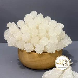 شاخه نبات سفید