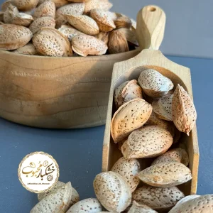 بادام درختی