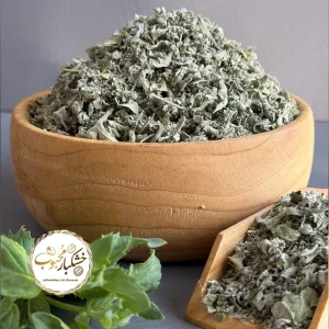 پونه کوهی
