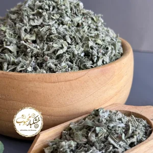 پونه کوهی