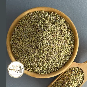 تخم گشنیر