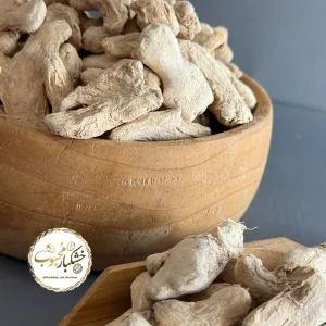 زنجبیل