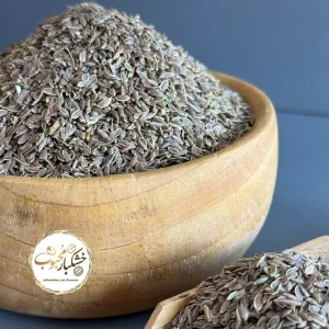 تخم شوید