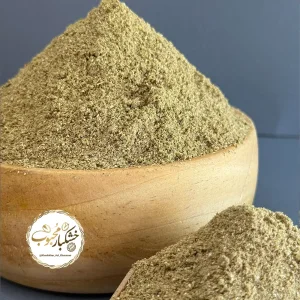 پودر گیشنیز