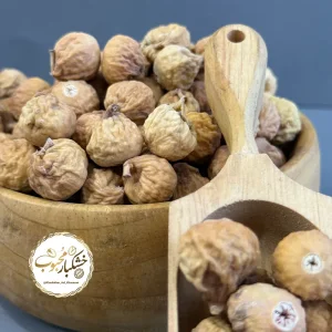 انجیر