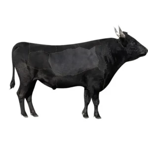 کوله پشتی لپ تاپ  15.6 اینچ چرم ضد آب یو اس بی دار بنج