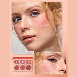 پالت رژگونه پودری