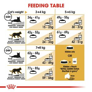 غذای خشک گربه مو کوتاه نژاد بریتیش رویال کنین Royal Canin Adult British ShortHair وزن 2 کیلوگرم