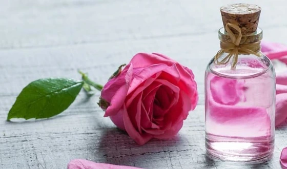 اسانس عطر اکسترا پرفیوم گل محمدی - 10 میل