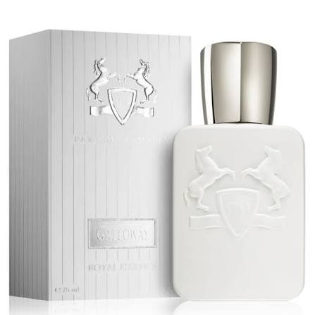 عطر ادوپرفیوم مردانه لوزی گالووی ۵۰ میل خنک تلخ
