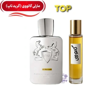 عطر ادوپرفیوم مردانه لوزی گالووی ۵۰ میل خنک تلخ