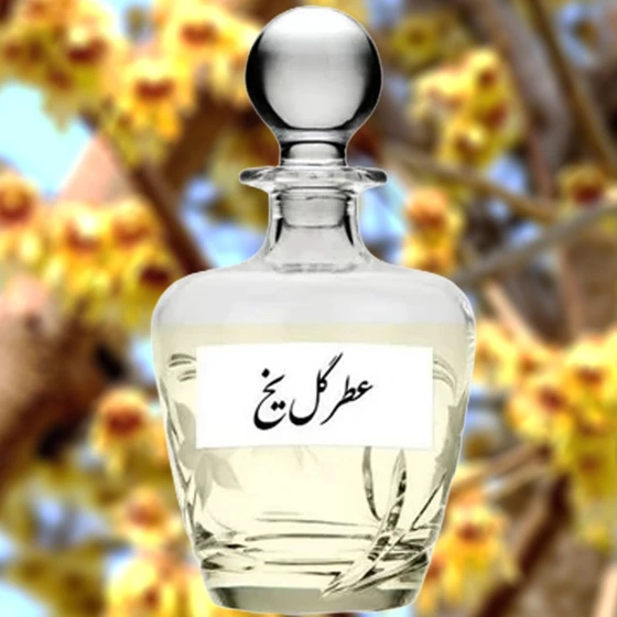 عطر گل یخ ممتاز - 10میل