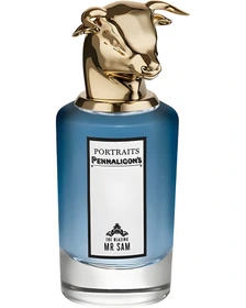 عطر ادکلن پنهالیگونز د بلیزینگ مستر سم Penhaligon’s The Blazing Mr Sam مردانه حجم 100 میل اکسترا پرفیوم لوزی سوئیس (ماندگاری خیلی بالا)
