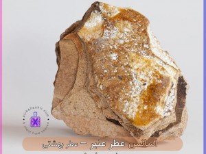 اسانس عطر عنبر (خالص)