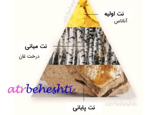 عطر ادکلن کرید اونتوس برند کالکشن