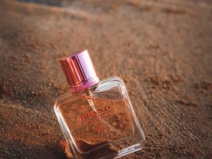 عطر جیوانچی ایرسیستیبل برند کالکشن - عطر بهشتی