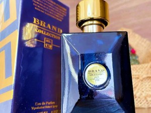 عطر ورساچه دیلان بلو مردانه برند کالکشن 170 - عطر بهشتی