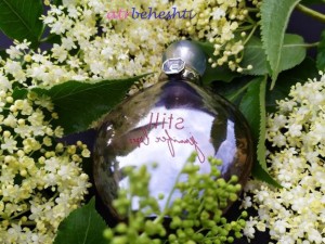 عطر گرمی استیل جنیفر لوپز - عطر بهشتی