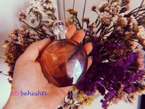 عطر گرمی استیل جنیفر لوپز - عطر بهشتی