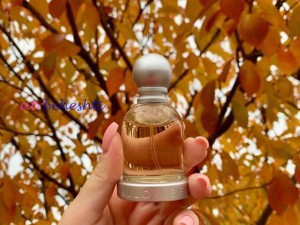 عطر گرمی هالووین - عطر بهشتی