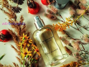 عطر باربری ویکند گرمی - عطر بهشتی