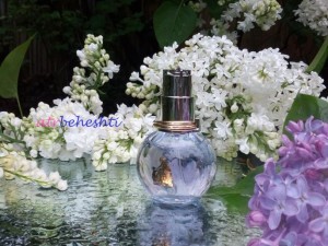 عطر گرمی اکلت لانوین - عطر بهشتی