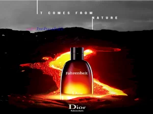عطر گرمی فارنهایت دیور - عطر بهشتی