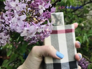 عطر باربری لندن گرمی - عطر بهشتی