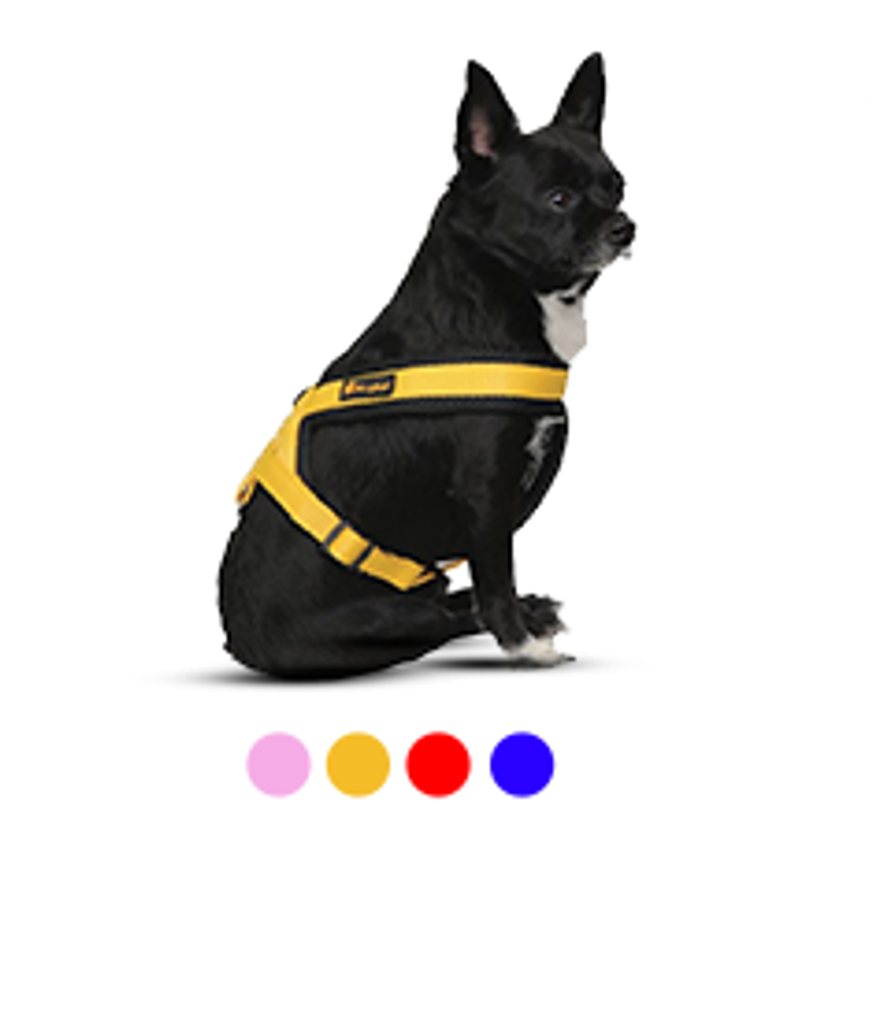 قلاده کمری Harness collar Rashell سایز M مری لند