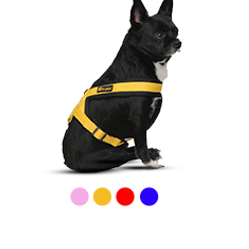 قلاده کمری Harness collar Rashell سایز S مری لند