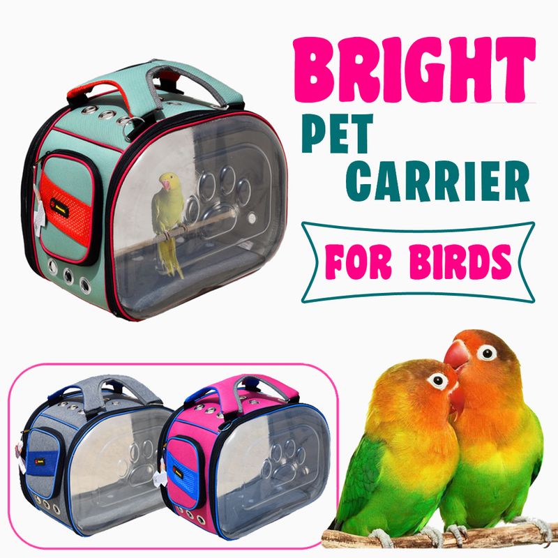 کیف دو طرف شفاف و تخت Bright مخصوص پرندگان  دنیل