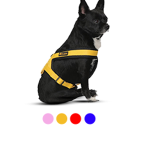 قلاده کمری Harness collar Rashell سایز XL مری لند
