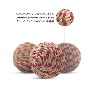توپ بازی سگ کنفی جیتیلی