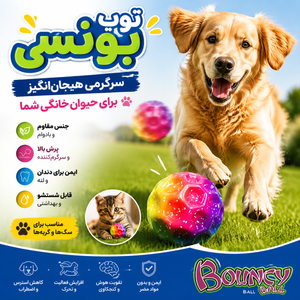 توپ بازی رنگی جعبه ای طرح نقطه Bouncy Ball