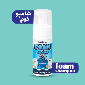 شامپو فوم رایحه بلوبری 200 سی سی کوالاپت