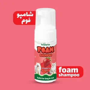 شامپو فوم رایحه توت فرنگی 200 سی سی کوالاپت