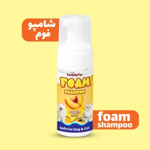 شامپو فوم رایحه هلو 200 سی سی کوالاپت