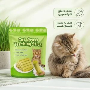 تشویقی استخوان ژلاتینی 12.5 سانتی وزن 800 گرم وگ اند بو