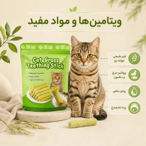تشویقی استخوان ژلاتینی 12.5 سانتی وزن 800 گرم وگ اند بو