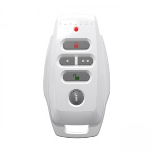 ریموت پارادوکس REM25