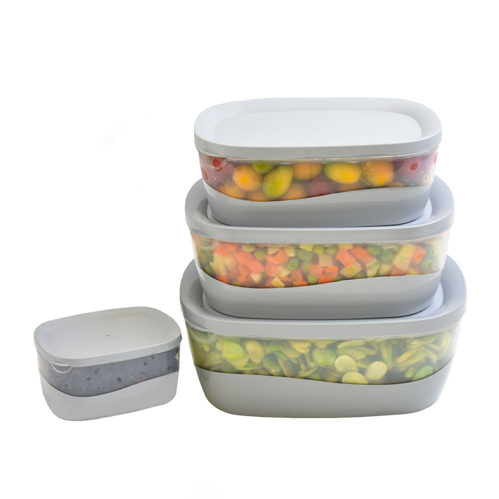 ظرف فریزری ۴ عددی روشا