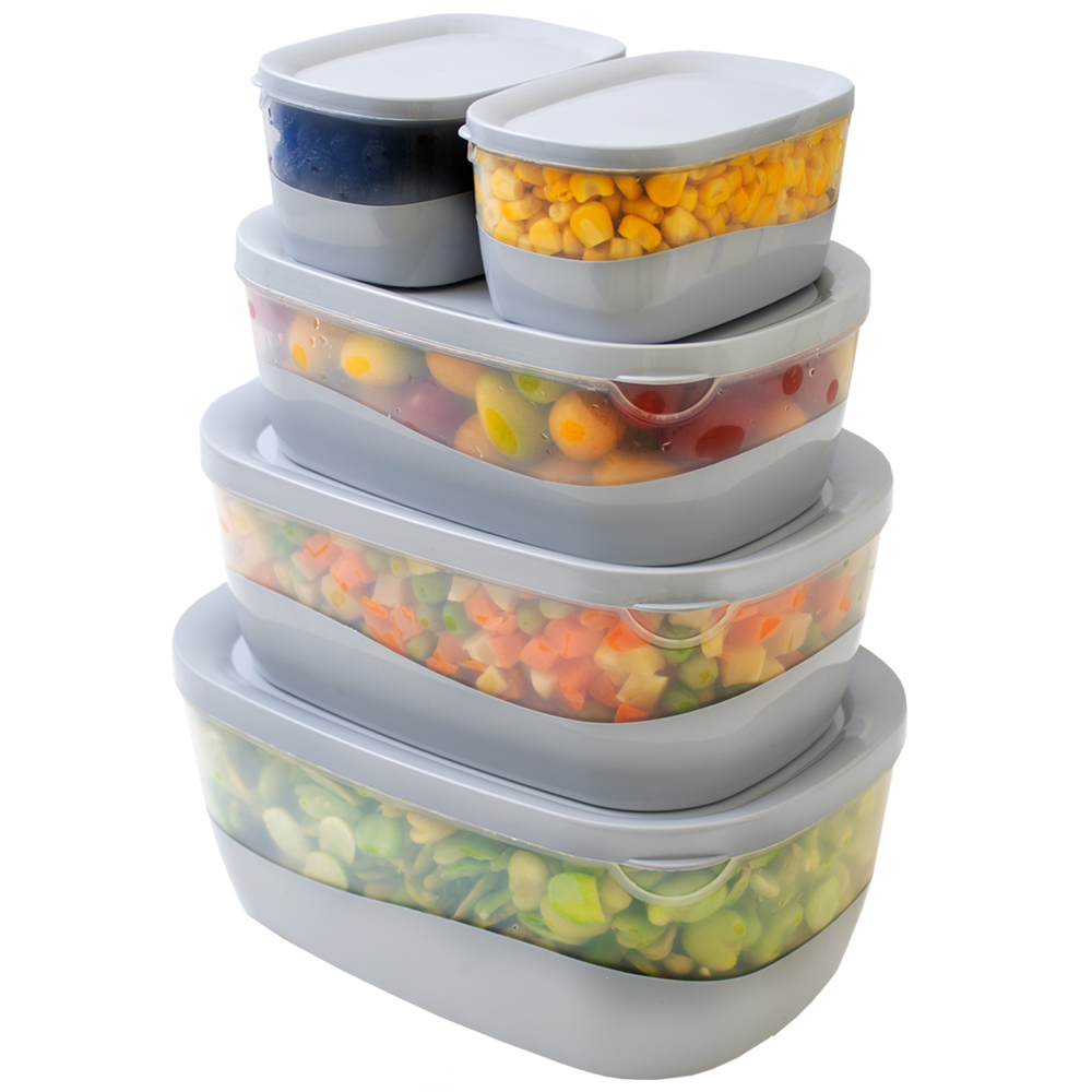 ظرف فریزری ۵ عددی روشا