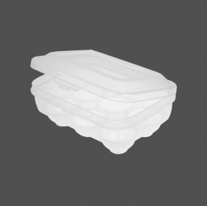 جا تخم مرغی۶ عددی لیمون