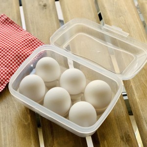 جای تخم مرغ