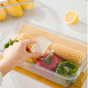 نظم دهنده ( ارگانایزر ) اکسون