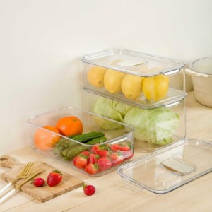 نظم دهنده ( ارگانایزر ) اکسون مدل کاملیا