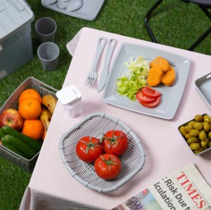 سرویس مسافرتی ۶۰ پارچه بازن