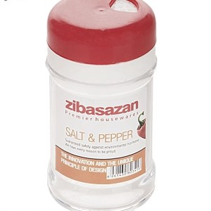 سرویس مسافرتی زیباسازان