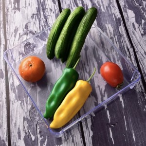 نظم دهنده (ارگانایزر) آریاسام ۲۲۹