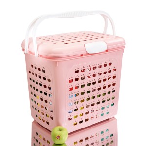 سبد پیک نیک سوپر سیب اشکان